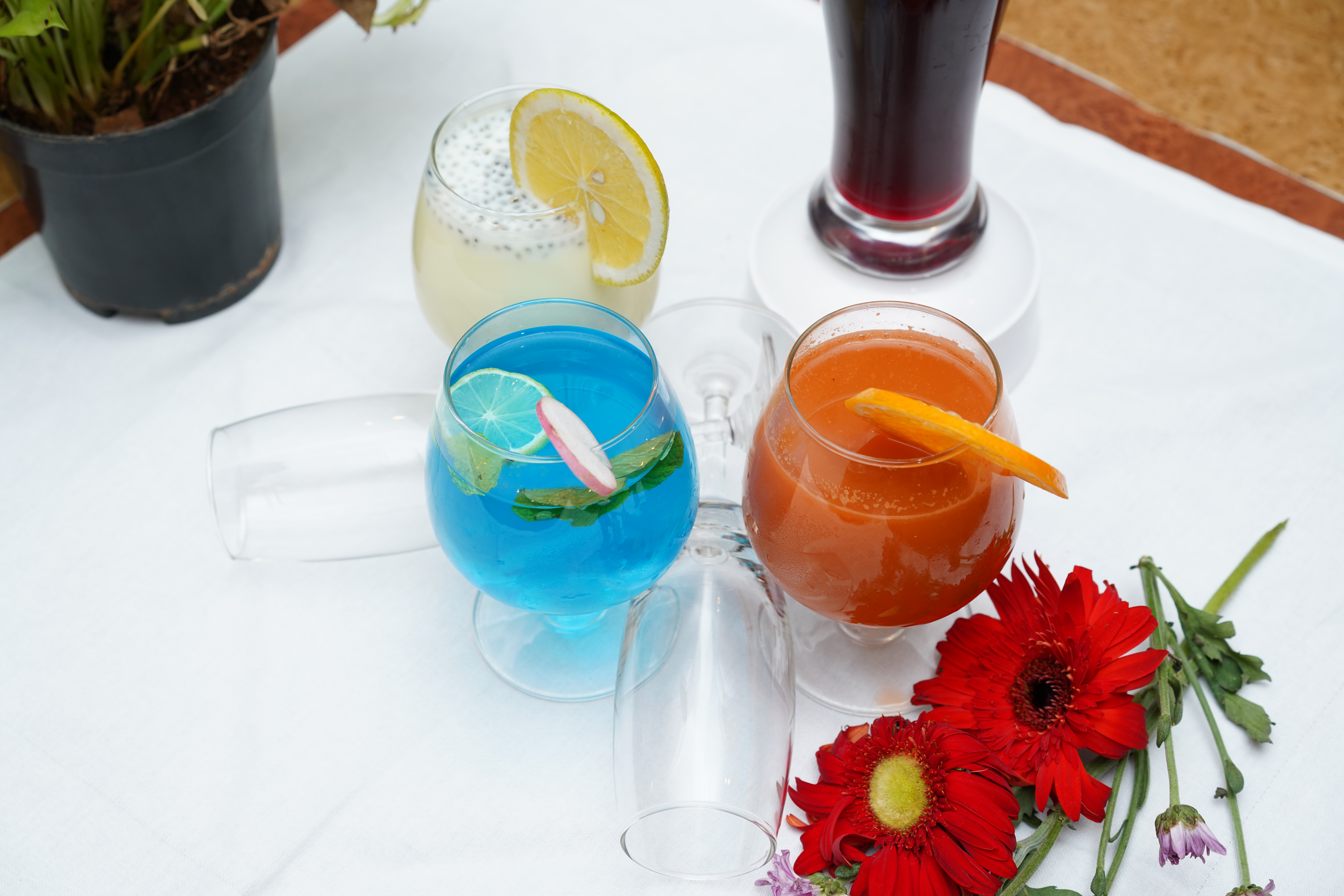 International Cuisine at Palmyra